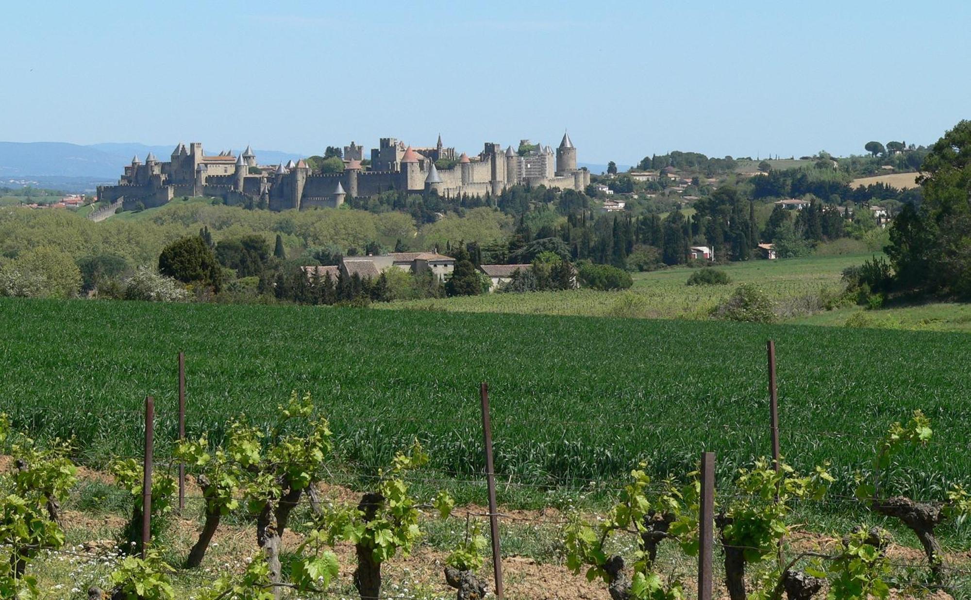 La Petite Chambre Du Lac Carcassonne Buitenkant foto